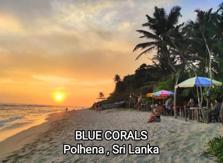 מטרה Blue Corals Beach Bungalow מראה חיצוני תמונה